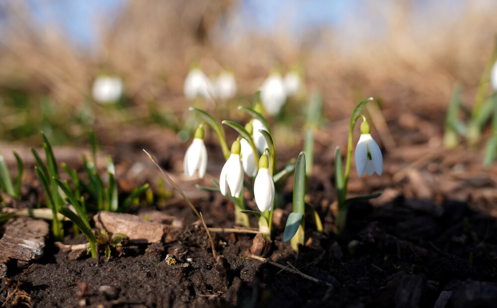 Otrdien vietām Latvijā gaidāms lietus