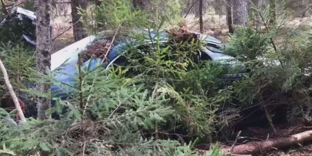 Pazudušais BMW atrasts mežā.