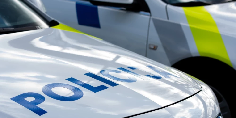 Avotu ielas apkaimē atklājas šokējošs vardarbības gadījums.