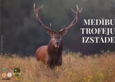 Ragi, ilkņi un dabas anomālijas: Ventspils Livonijas ordeņa pilī atklās vērienīgu medību trofeju izstādi