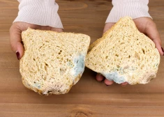 Gardas idejas, ko pagatavot no saziedējušas maizes