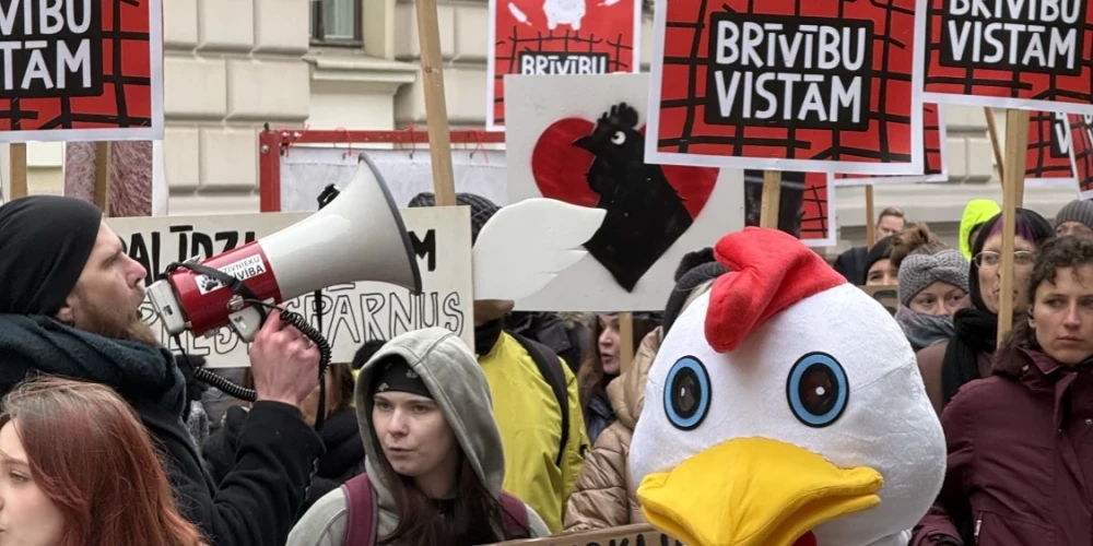 Ap 60 cilvēku protestā pie Saeimas aicina aizliegt vistu sprostus.