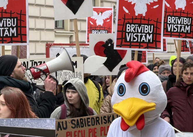 Ap 60 cilvēku protestā pie Saeimas aicina aizliegt vistu sprostus.