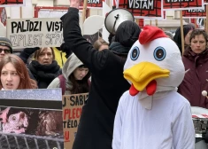 FOTO, VIDEO: demonstranti pie Saeimas izvieto dzelzs sprostus un pieprasa brīvību vistām