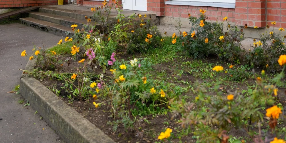 Самовольные посадки у дома могут создать проблемы.