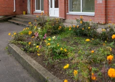 Прежде чем сажать цветы под окнами, жителям многоквартирных домов советуют сделать важный шаг