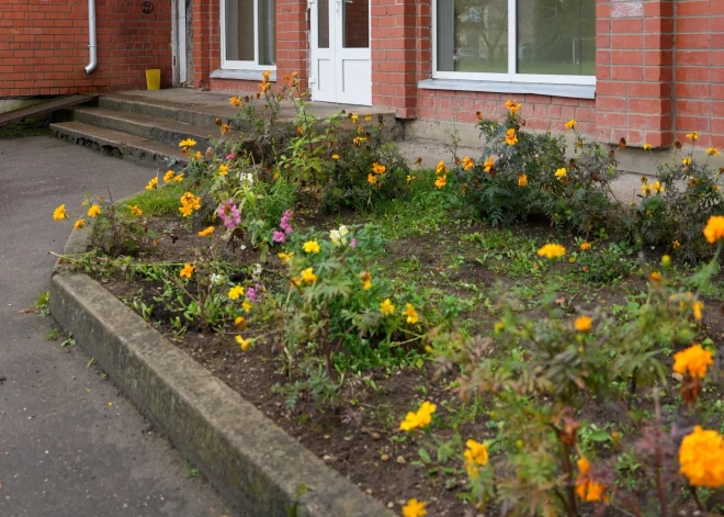 Прежде чем сажать цветы под окнами, жителям многоквартирных домов советуют сделать важный шаг