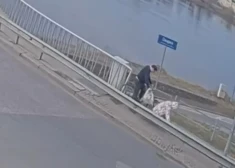 ВИДЕО: в Даугавпилсе велосипедист сбил женщину и скрылся с места ДТП