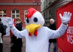 Латвия на пути к лидерству в Северной Европе по производству яиц