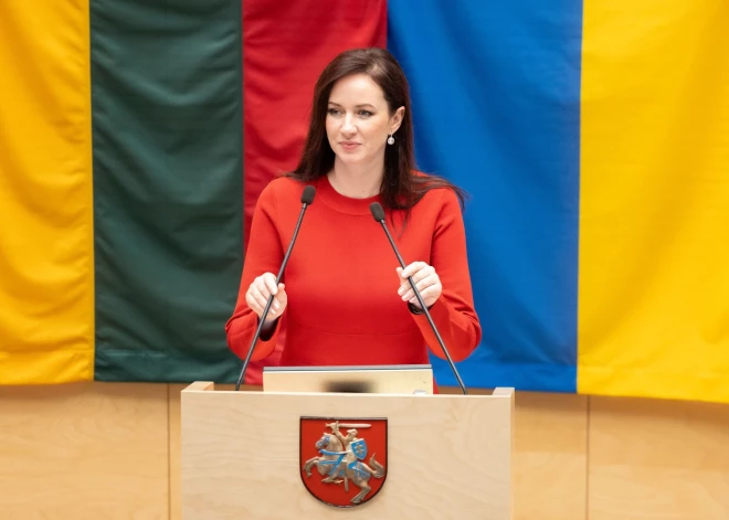 Премьер Литвы о данных украинской разведки о дронах: "Давайте перестанем слушать разные сплетни"