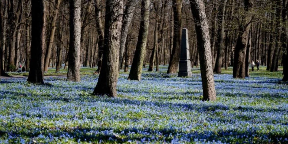 Dienā spoži spīdēs saule.