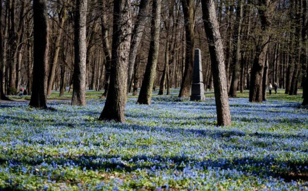 Dažviet Latvijā gaisa temperatūra noslīdējusi līdz -5 grādiem; dienā kļūs ievērojami siltāks
