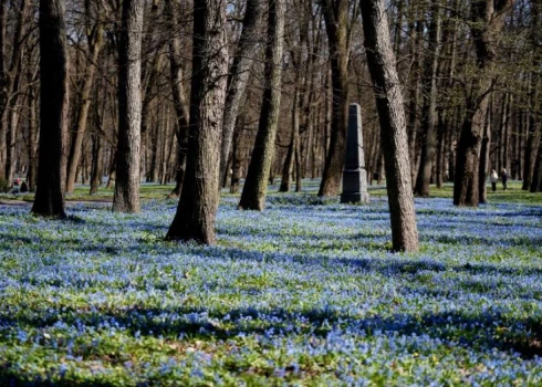 Dienā spoži spīdēs saule.