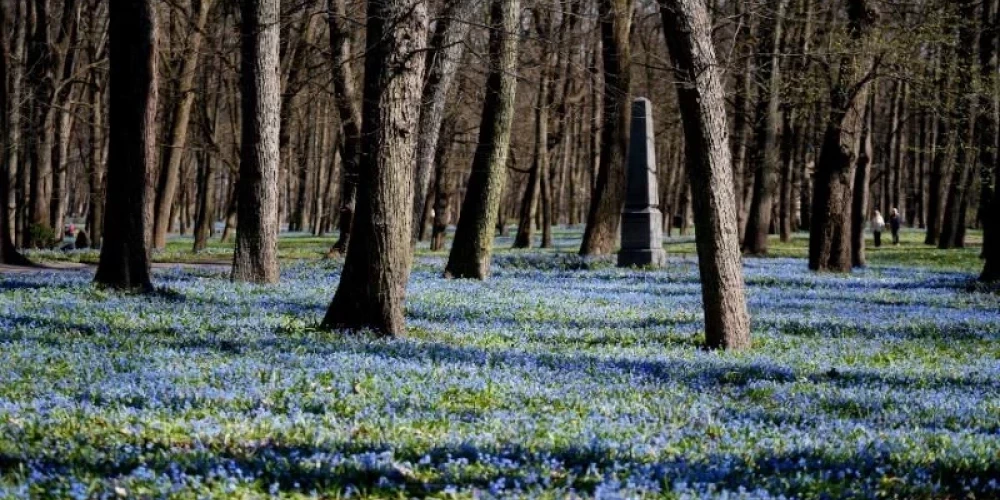 Иллюстративное фото.