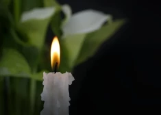 Mūžībā devies gleznotājs Alberts Pauliņš