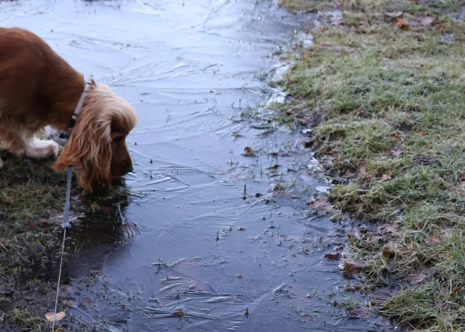 Naktī uz piektdienu Latvijā gaidāms sals - gaisa temperatūra noslīdēs līdz -4 grādiem
