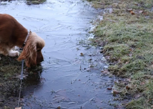 Иллюстративное фото.