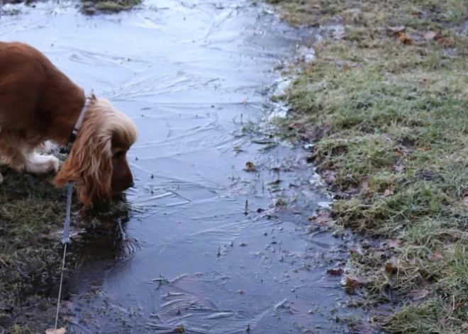 В пятницу в Латвии ожидается и солнце, и туман, и дождь