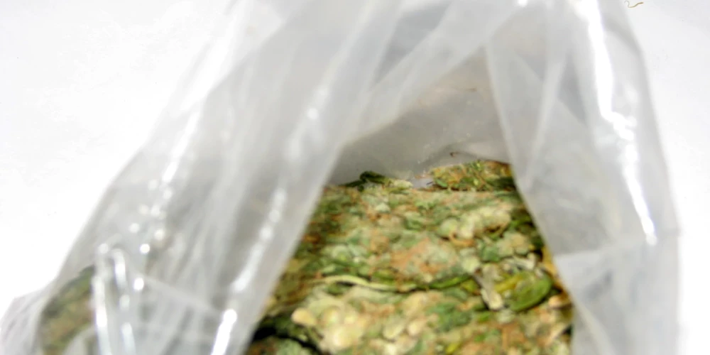 Pie narkotirgoņu grupas atrod deviņus kilogramus marihuānas.