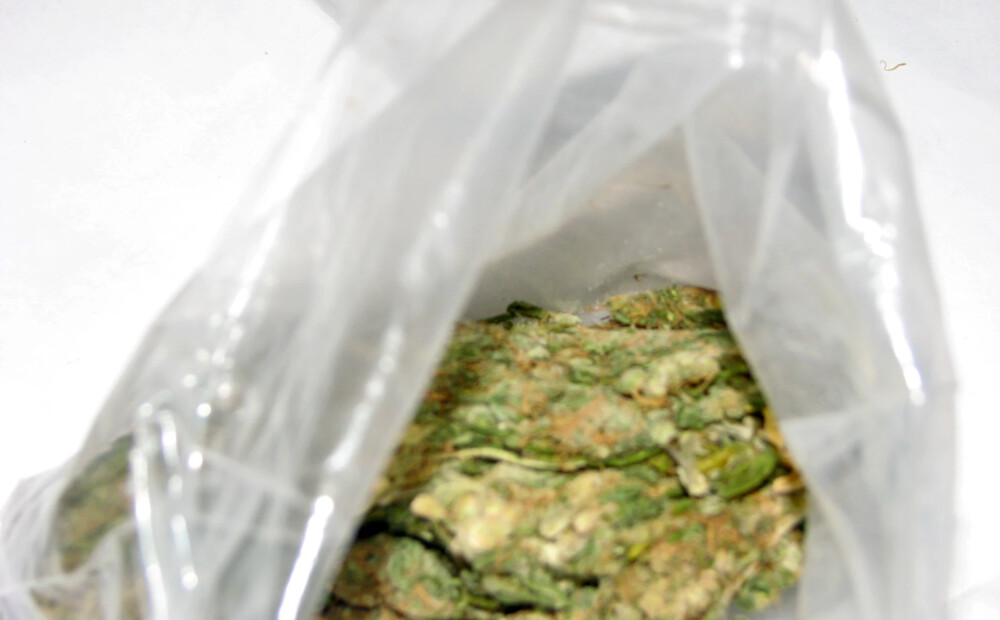 Pie narkotirgoņu grupas atrod deviņus kilogramus marihuānas