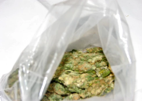 Pie narkotirgoņu grupas atrod deviņus kilogramus marihuānas. 