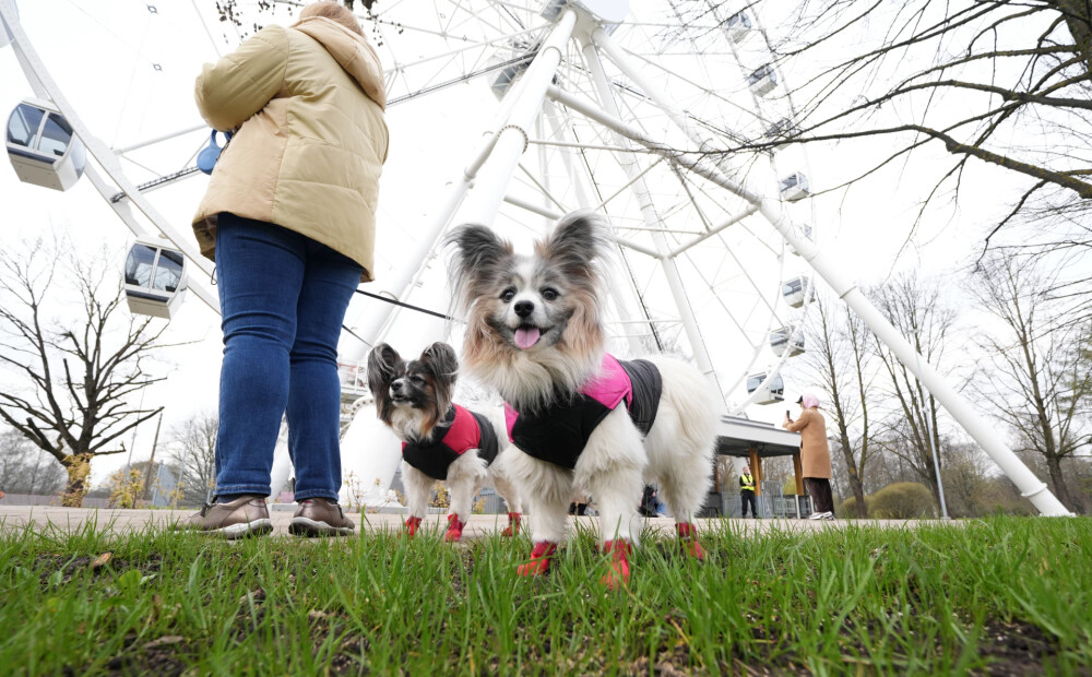 Pētījums: šis ir svarīgākais kustības noteikums, kas novērš astoņas slimības