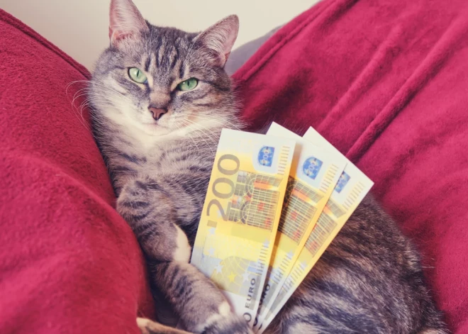 Этим знакам зодиака в апреле лучше дважды подумать перед тратами