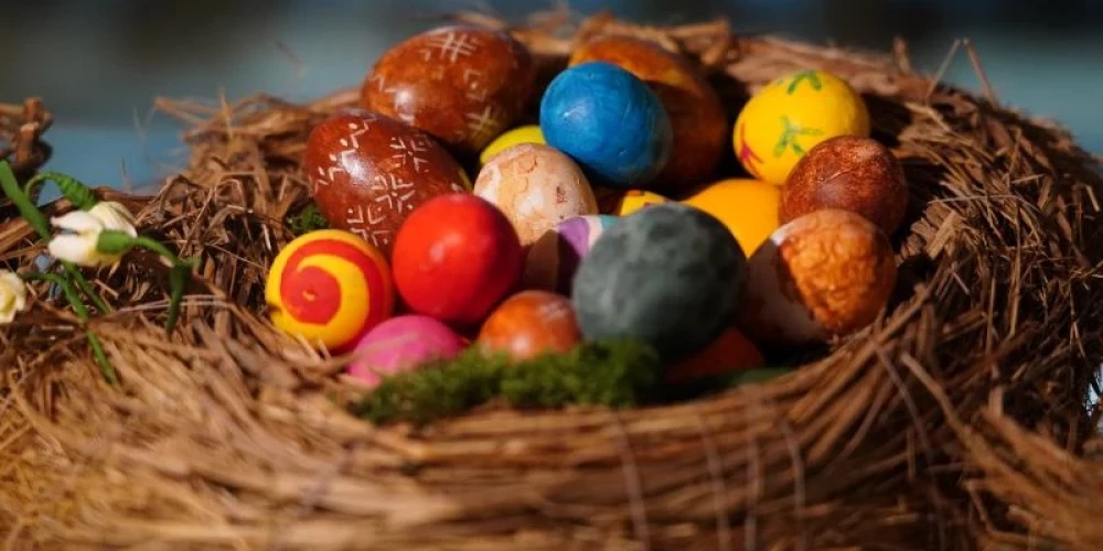 Izrādās, lai uzvarētu olu kaujās, izmēram ir liela nozīme.