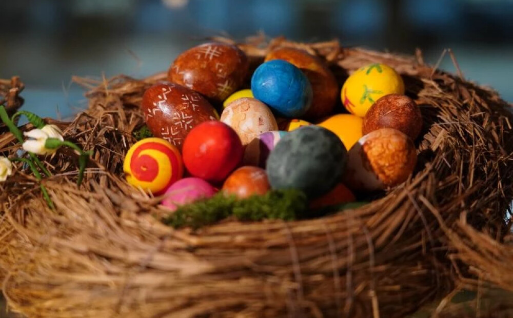 Kā uzvarēt olu kaujās? Izrādās – izmēram tomēr ir nozīme! Eksperts atklāj vienkāršu noslēpumu