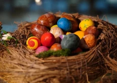 Kā uzvarēt olu kaujās? Izrādās – izmēram tomēr ir nozīme! Eksperts atklāj vienkāršu noslēpumu