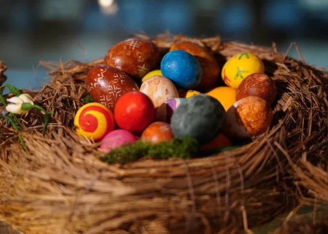 Kā uzvarēt olu kaujās? Izrādās – izmēram tomēr ir nozīme! Eksperts atklāj vienkāršu noslēpumu