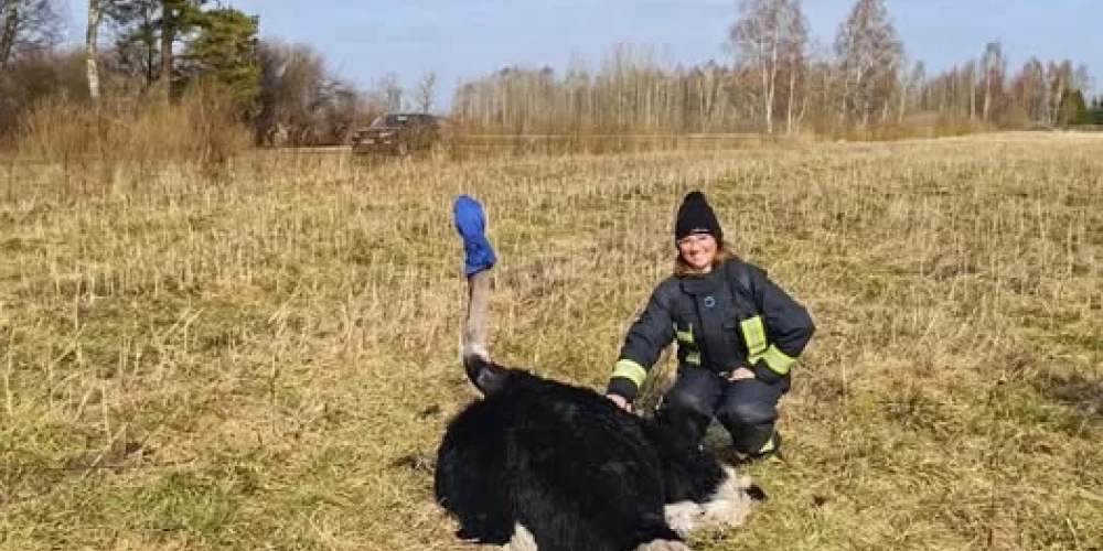 Foto ventasbalss.lv/Facebook.com