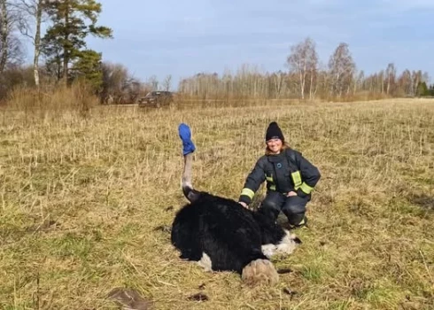 Foto ventasbalss.lv/Facebook.com