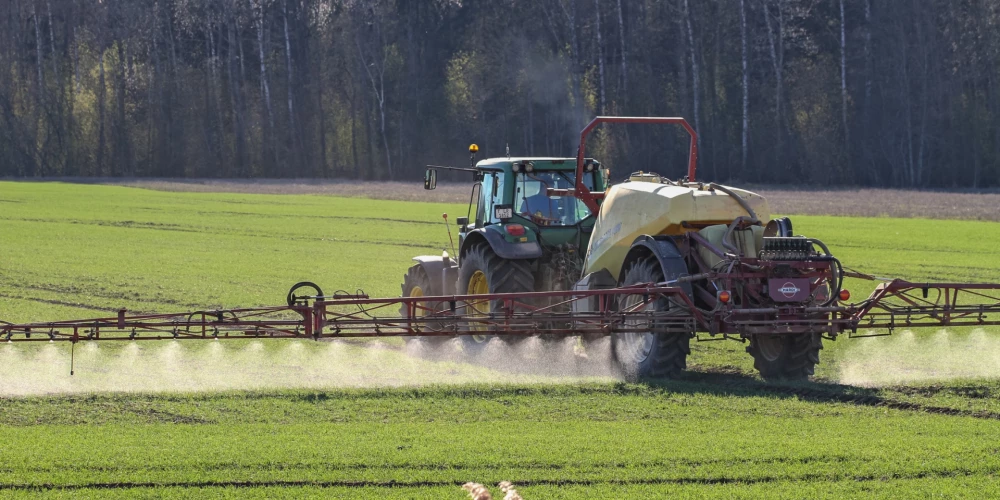 Иллюстративное фото.