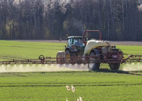 Иллюстративное фото.