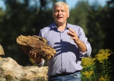 Veltījums Babiņai: stāstnieks Ivars Rancāns atklāj unikālu vērpjamo ratiņu izstādi