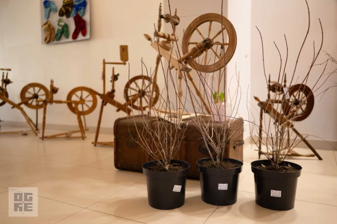 Tīnūžu tautas nama foajē izstāde aplūkojama līdz 30. aprīlim.