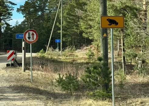 Latvijas Valsts ceļi krupju migrācijas vietās šopavasar uzstādījuši īpašas zīmes.