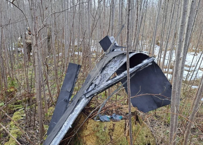 В Киеве рассказали, что в странах Балтии рады атакам украинских дронов на Усть-Лугу и Приморск