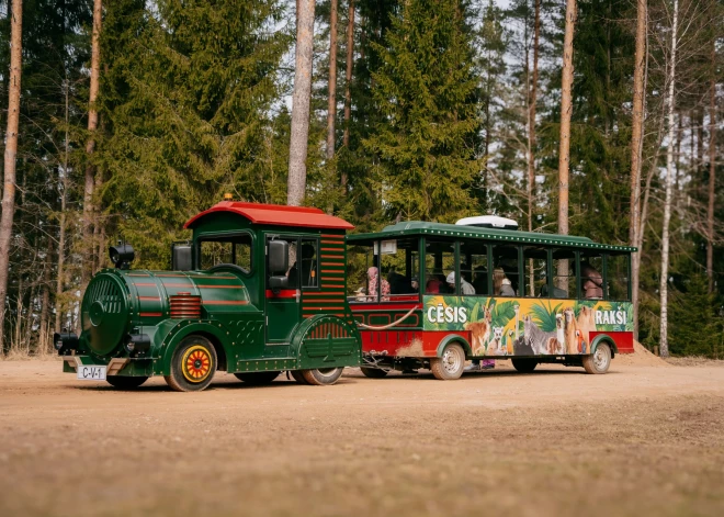No Cēsīm uz "Rakšu Zoo" sāk kursēt ekspresvilciens