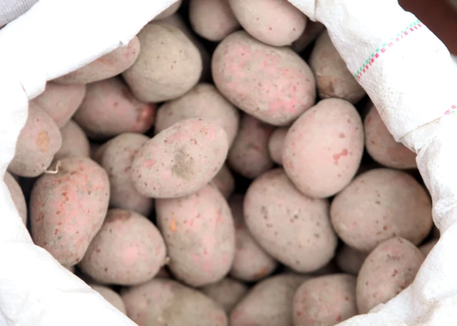 Дешевого картофеля в магазинах Латвии скоро может уже не быть