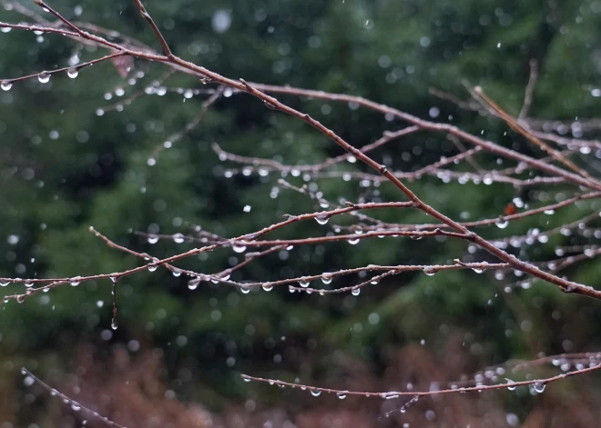 Rītā vietām gaidāms lietus