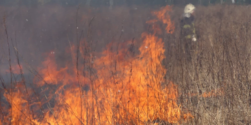 Visvairāk pērnā zāle dedzināta Latgalē.