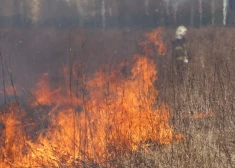 Glābējiem Lieldienās darba pilnas rokas, cīnoties ar plašiem kūlas ugunsgrēkiem