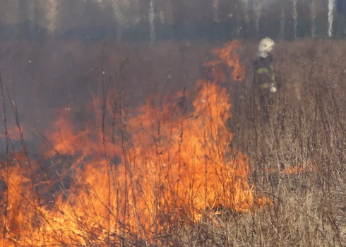 Visvairāk pērnā zāle dedzināta Latgalē.