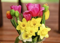 Šonedēļ populārākie vārdi - Edgars un Anita