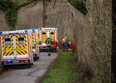Vācijā, nogāžoties kokam, dzīvību zaudējuši trīs cilvēki, tai skaitā bērns