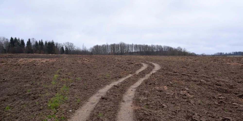 Pēcsvētku dienā saglabāsies drēgns laiks. 