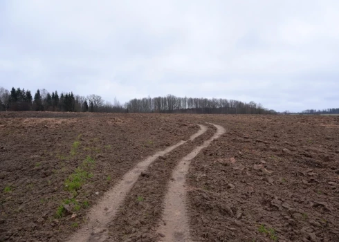 Pēcsvētku dienā saglabāsies drēgns laiks. 