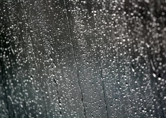 Во вторник сохранится промозглая погода